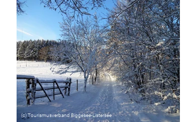 Winterimpressionen rund um Olpe