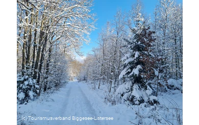 verschneiter Winterwanderweg