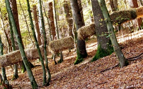 Galoppierende Strohhaufen